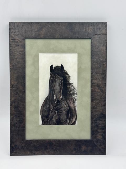 Фризский жеребец