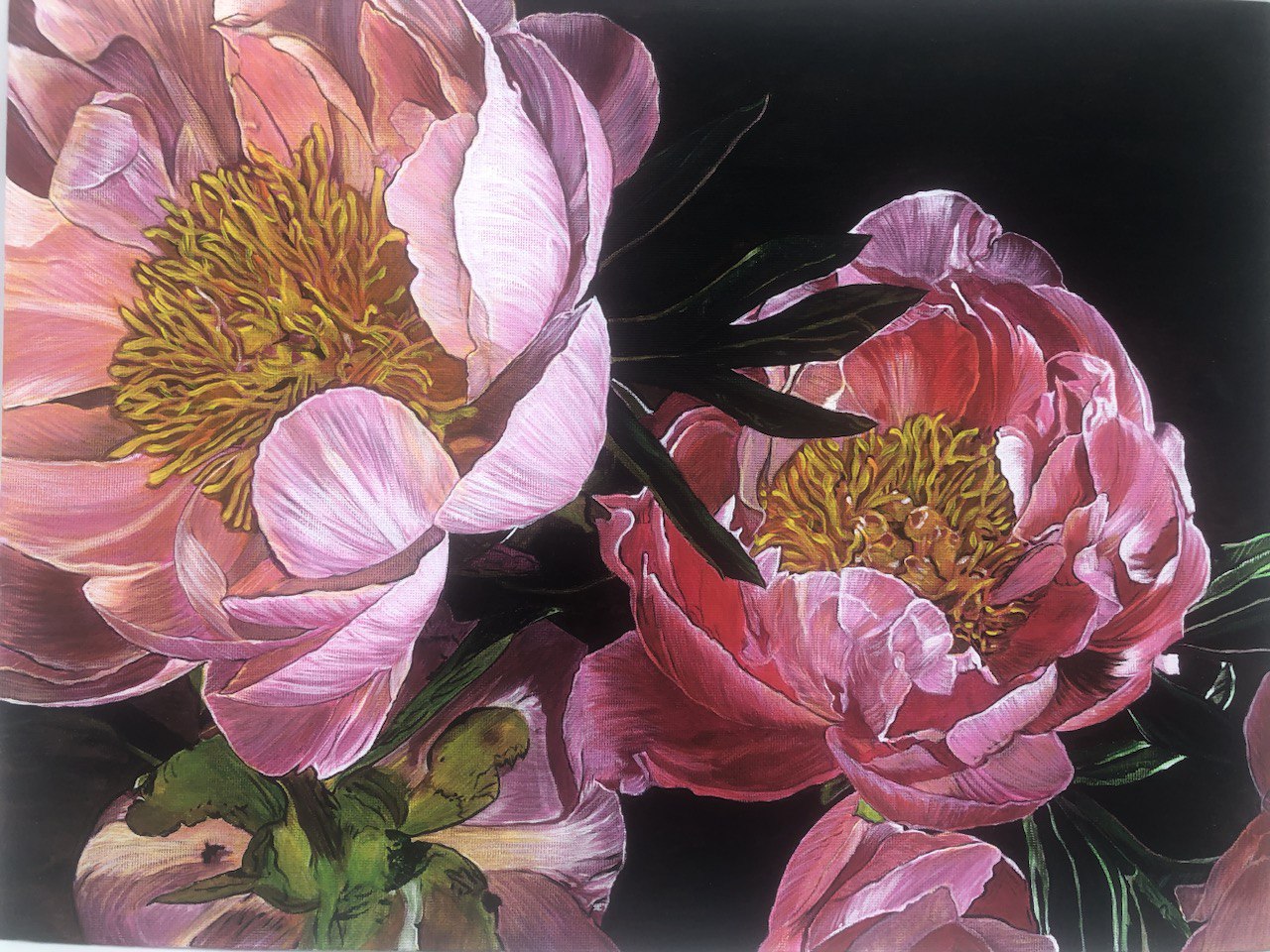 Peonies. Picture 